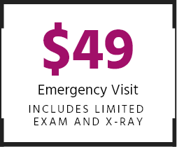 $49 Emergency Visit stamp